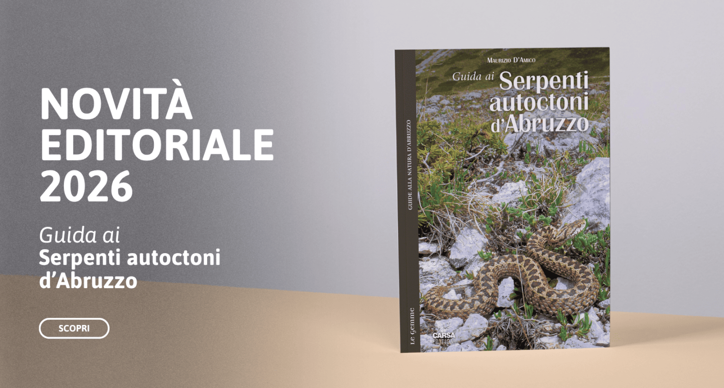 Guida ai Serpenti autoctoni d’Abruzzo